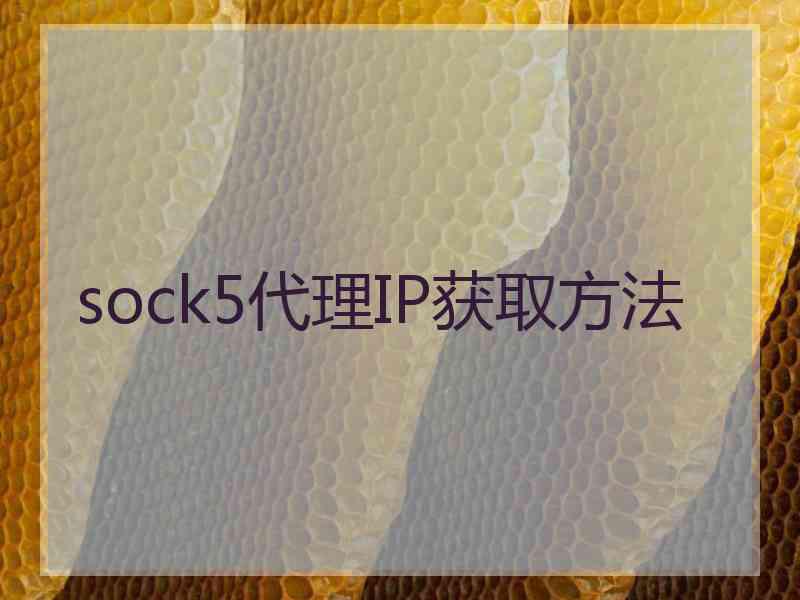 sock5代理IP获取方法