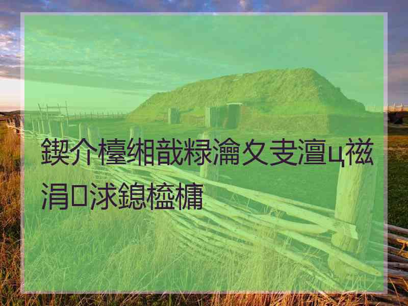 鍥介檯缃戠粶瀹夊叏澶ц禌涓浗鎴橀槦