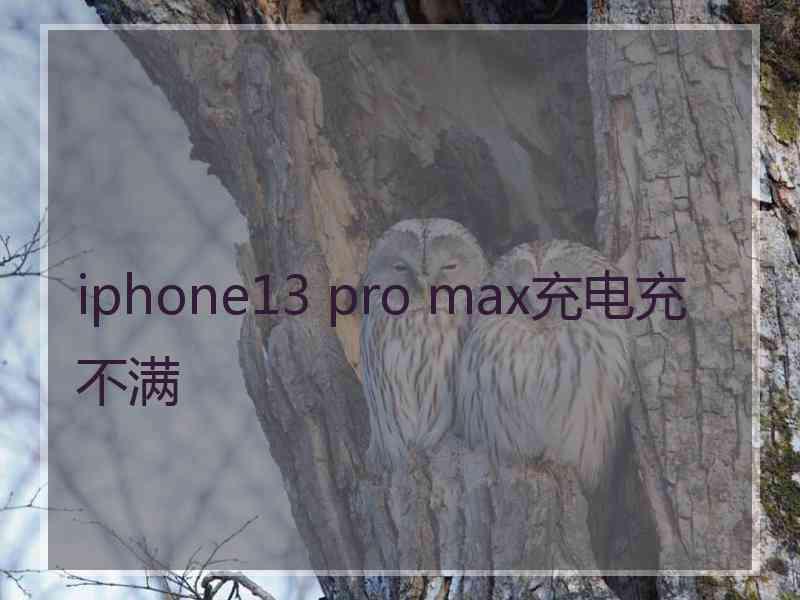 iphone13 pro max充电充不满