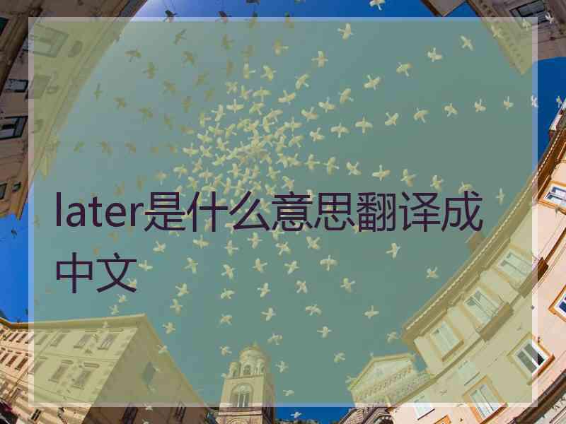 later是什么意思翻译成中文