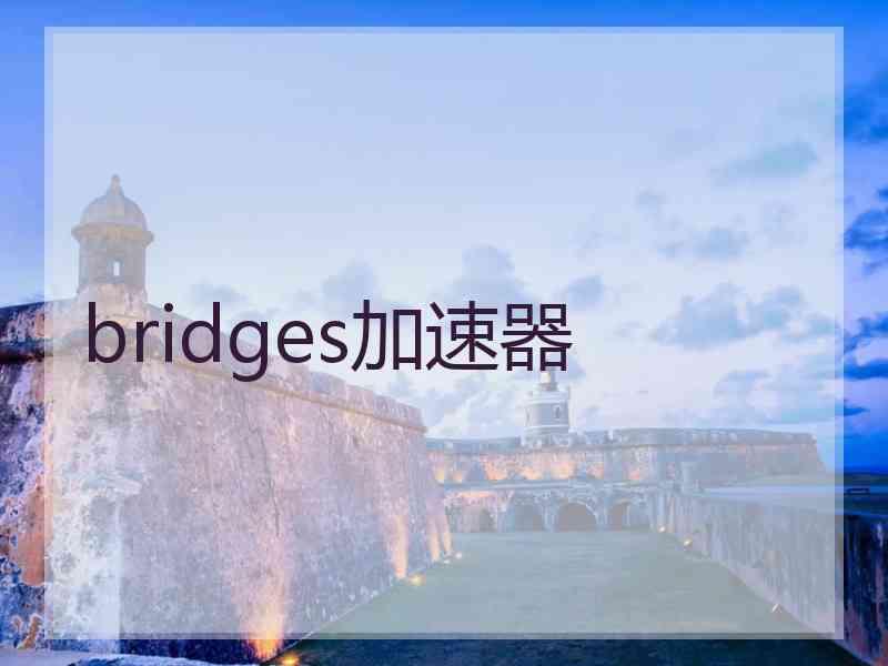 bridges加速器