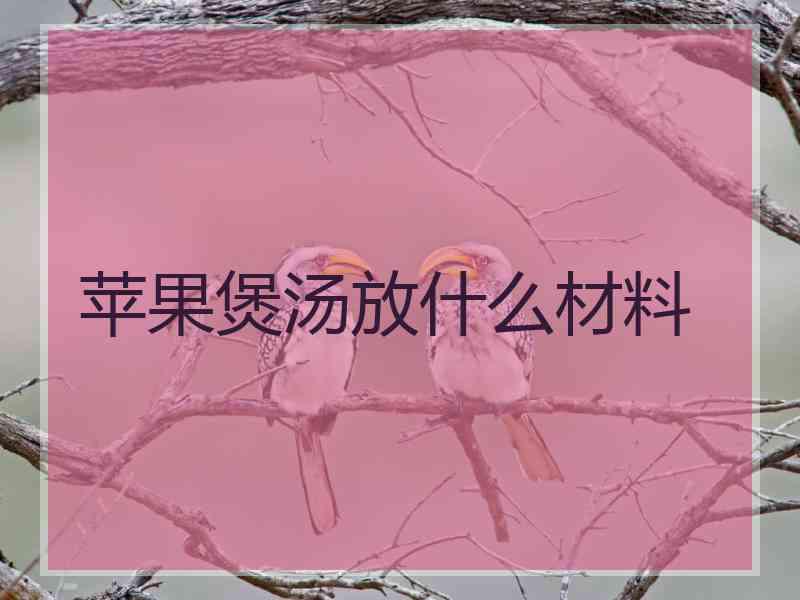 苹果煲汤放什么材料