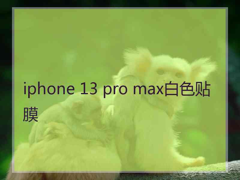 iphone 13 pro max白色贴膜