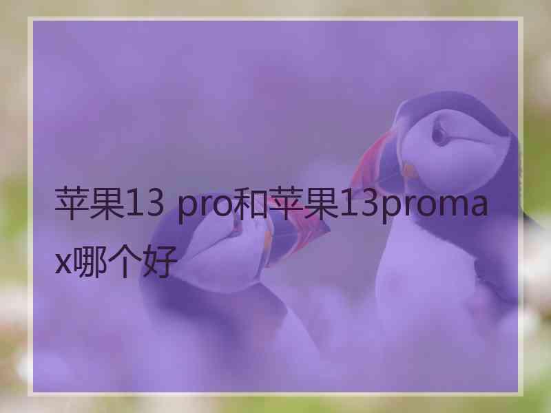 苹果13 pro和苹果13promax哪个好