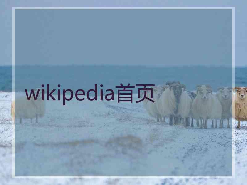 wikipedia首页