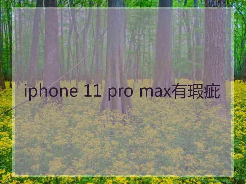 iphone 11 pro max有瑕疵