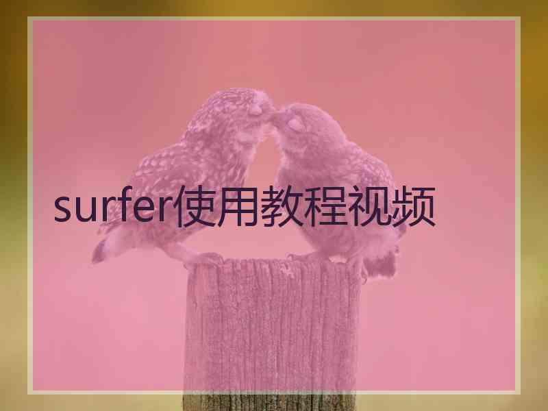 surfer使用教程视频