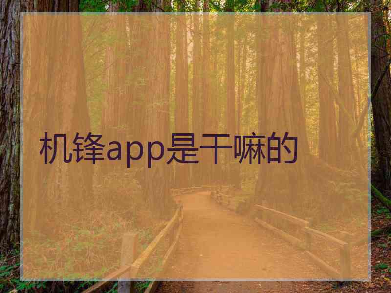 机锋app是干嘛的