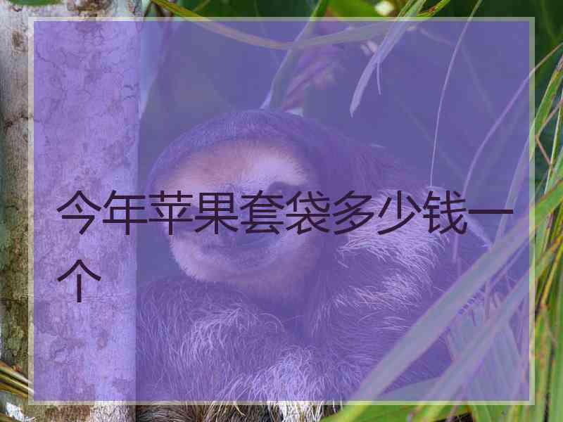 今年苹果套袋多少钱一个