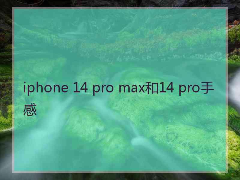 iphone 14 pro max和14 pro手感