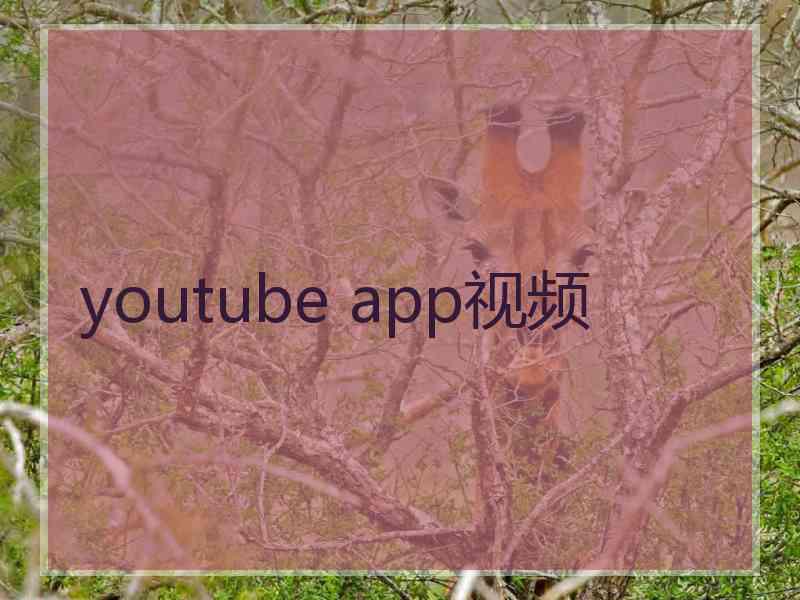 youtube app视频