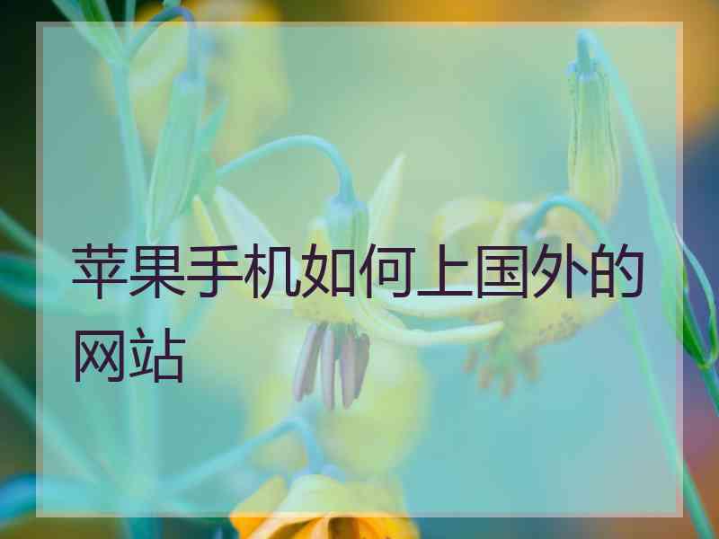 苹果手机如何上国外的网站