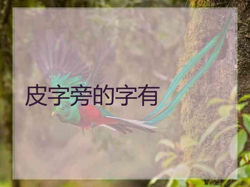 皮字旁的字有