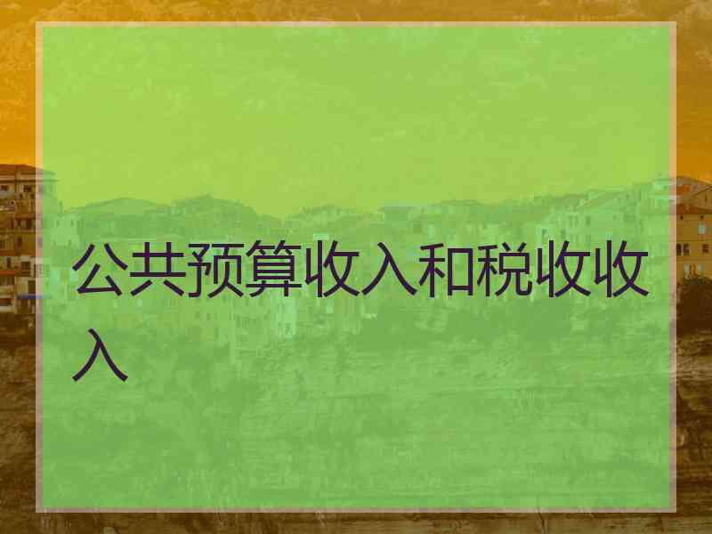 公共预算收入和税收收入