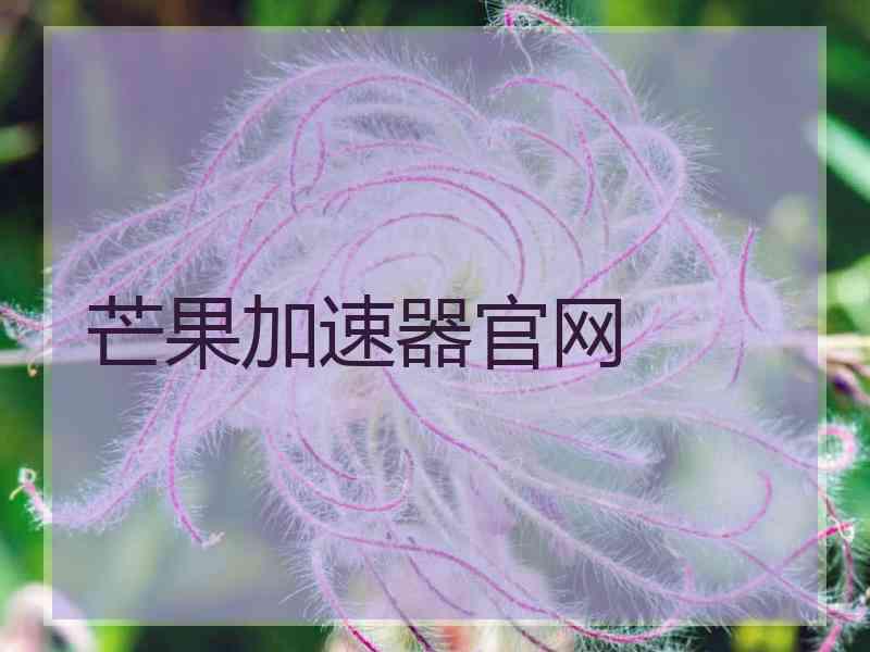 芒果加速器官网