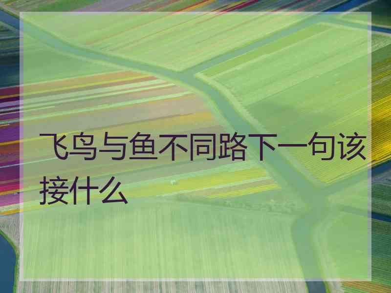 飞鸟与鱼不同路下一句该接什么