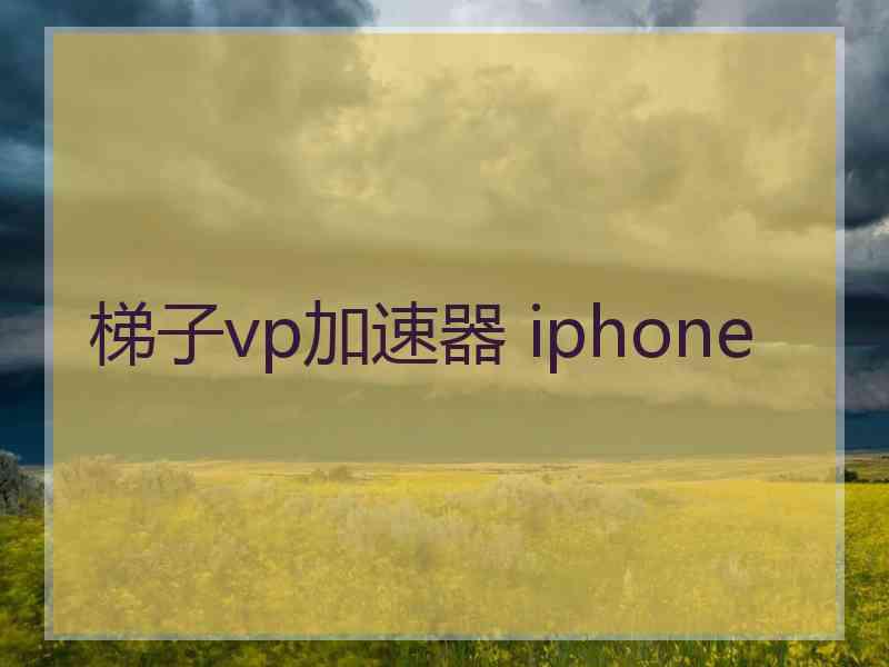 梯子vp加速器 iphone