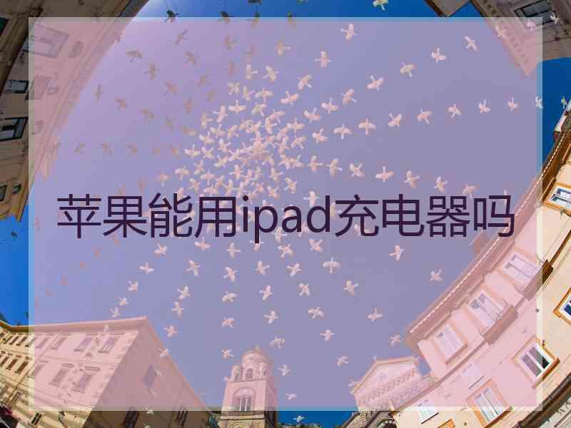 苹果能用ipad充电器吗