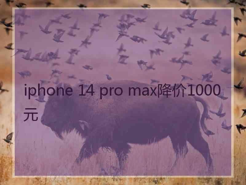 iphone 14 pro max降价1000元