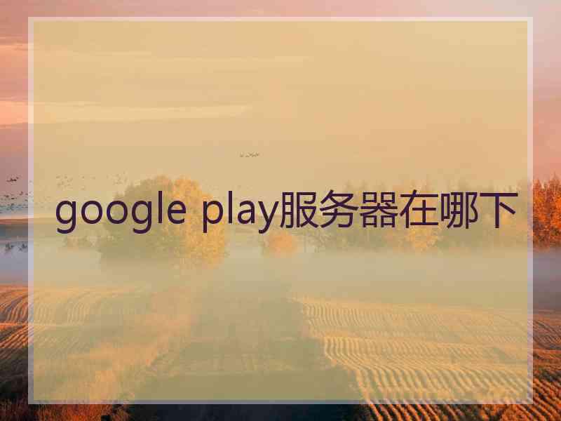 google play服务器在哪下