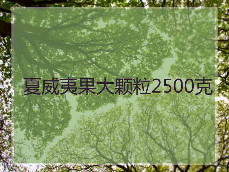 夏威夷果大颗粒2500克