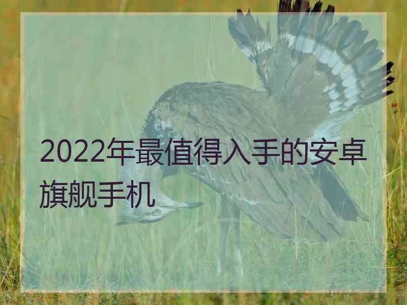 2022年最值得入手的安卓旗舰手机