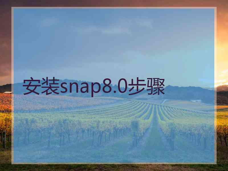 安装snap8.0步骤