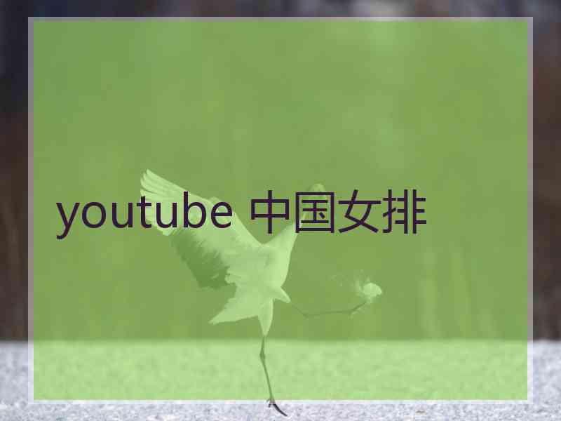 youtube 中国女排