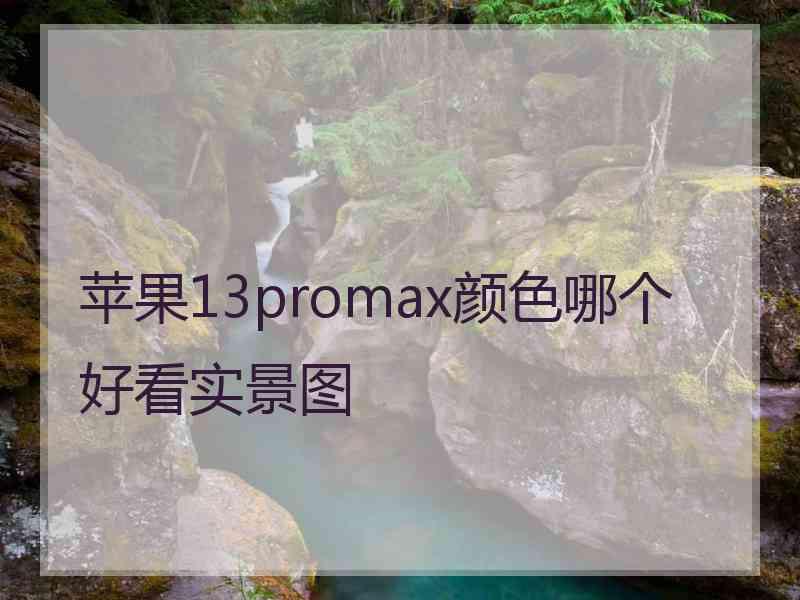 苹果13promax颜色哪个好看实景图