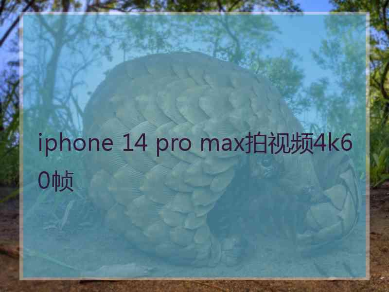 iphone 14 pro max拍视频4k60帧