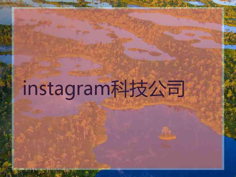 instagram科技公司