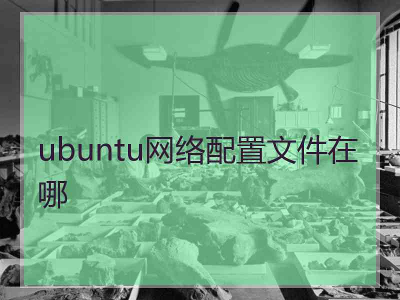 ubuntu网络配置文件在哪