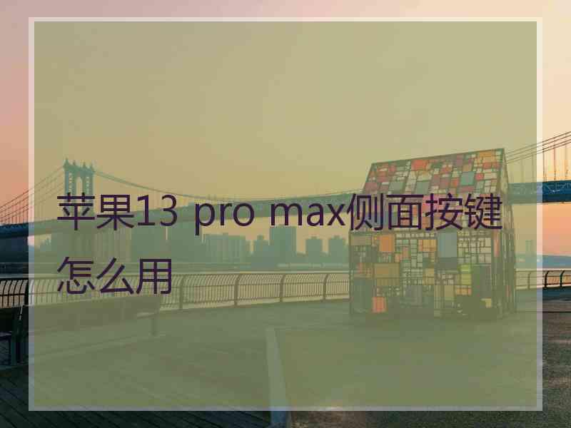 苹果13 pro max侧面按键怎么用