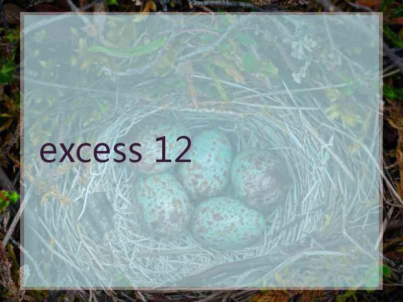 excess 12