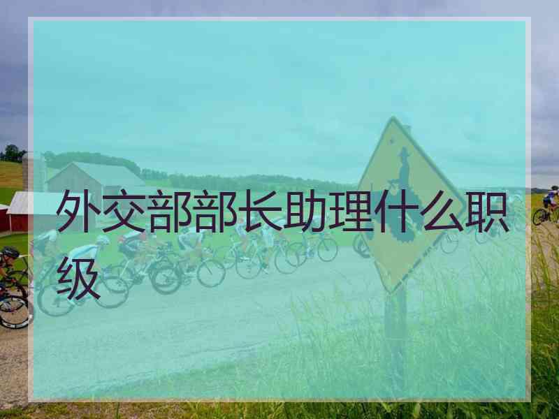 外交部部长助理什么职级