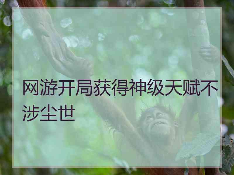 网游开局获得神级天赋不涉尘世