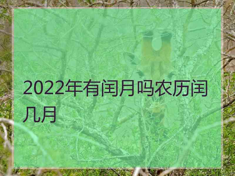 2022年有闰月吗农历闰几月