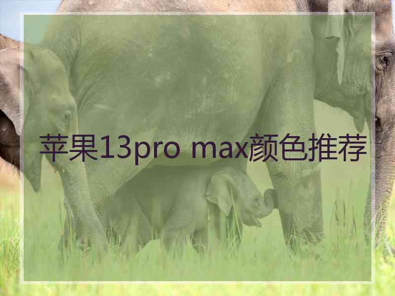 苹果13pro max颜色推荐