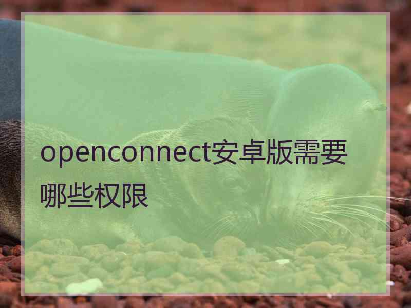 openconnect安卓版需要哪些权限