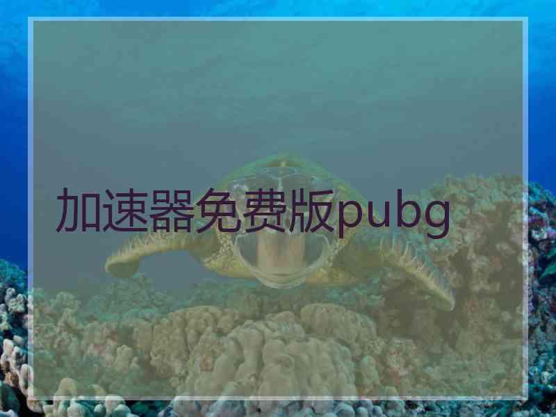 加速器免费版pubg