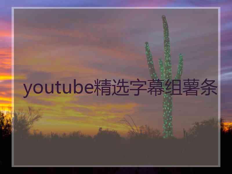 youtube精选字幕组薯条