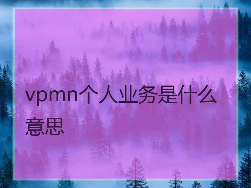 vpmn个人业务是什么意思