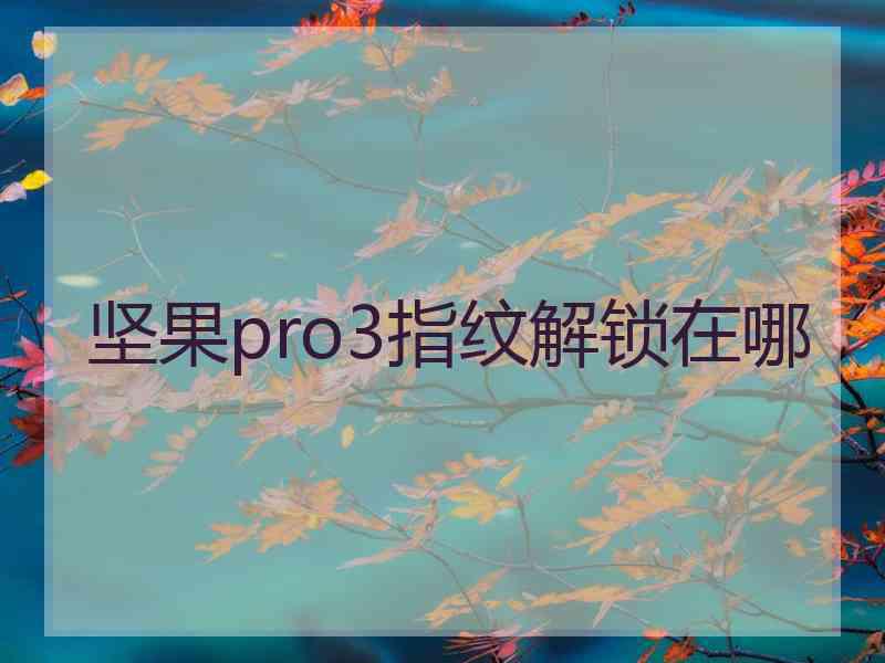 坚果pro3指纹解锁在哪