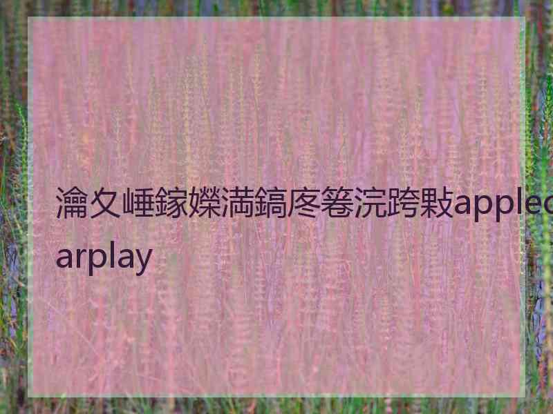 瀹夊崜鎵嬫満鎬庝箞浣跨敤applecarplay