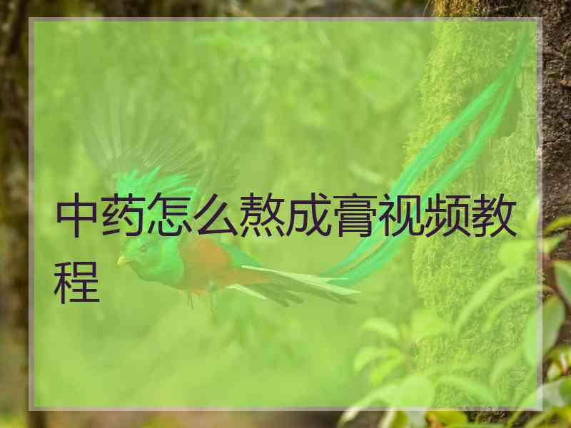 中药怎么熬成膏视频教程