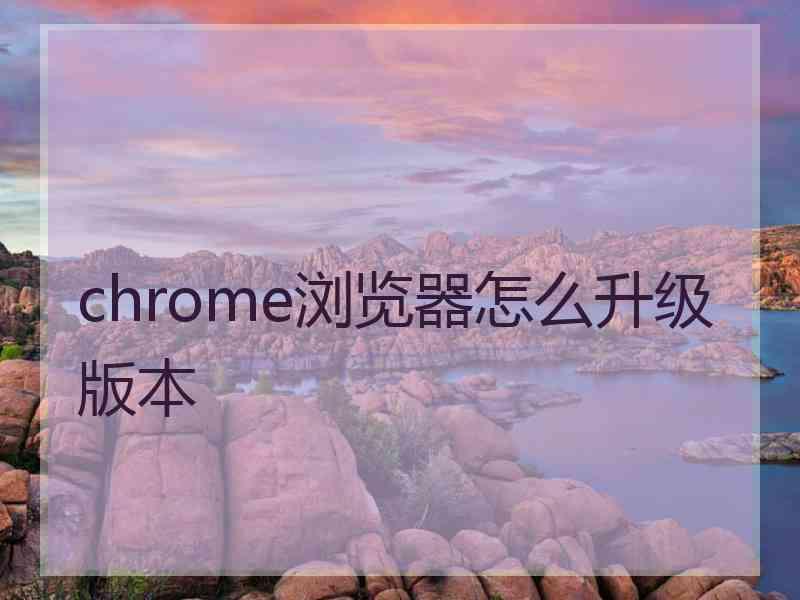 chrome浏览器怎么升级版本