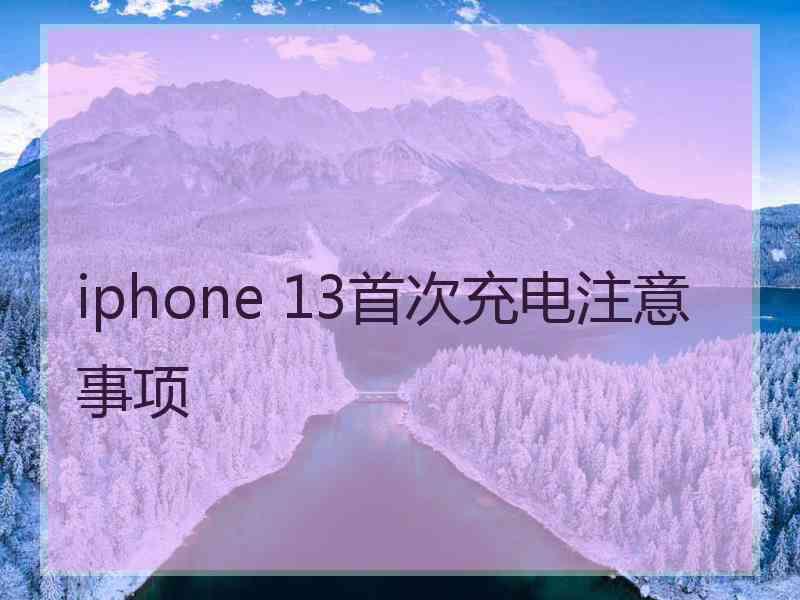 iphone 13首次充电注意事项