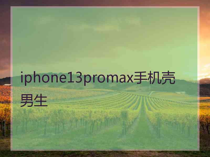 iphone13promax手机壳 男生