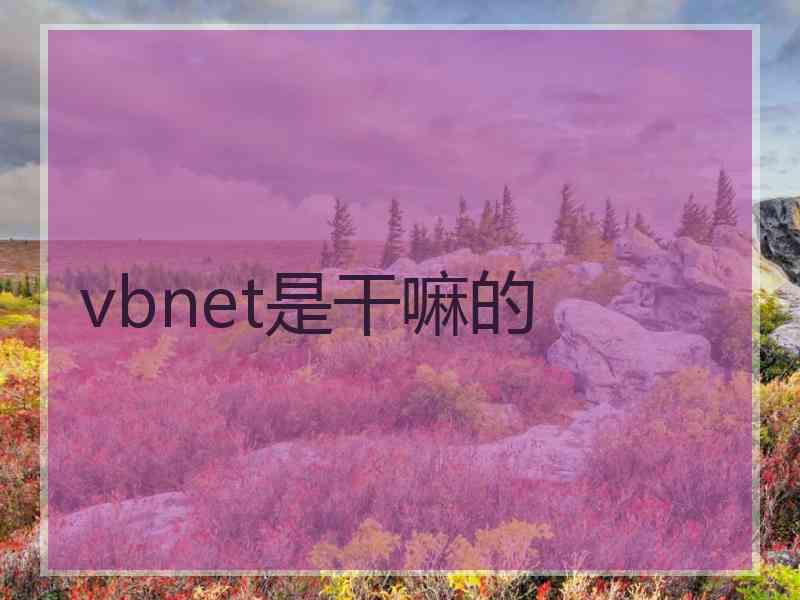 vbnet是干嘛的