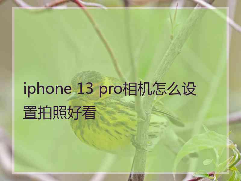 iphone 13 pro相机怎么设置拍照好看